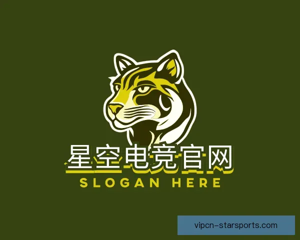 关于星空电竞官网